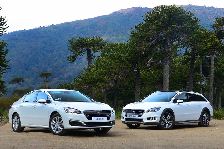 Peugeot 508 09